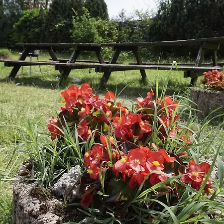 Gastehaus Am Riedweg Szálloda Mannheim