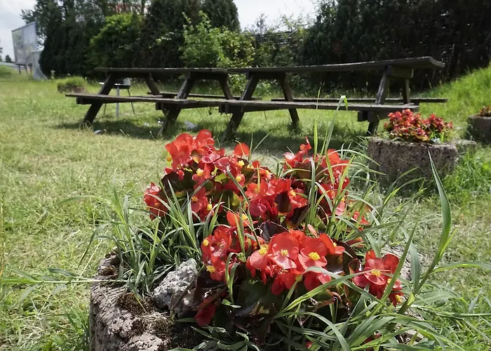 Gastehaus Am Riedweg 호텔 만하임